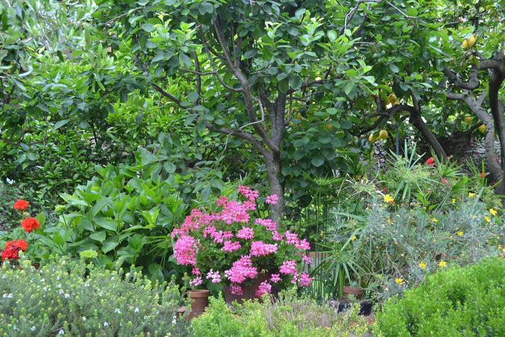 Casa Nobile Bed & Breakfast Tovo San Giacomo Luaran gambar