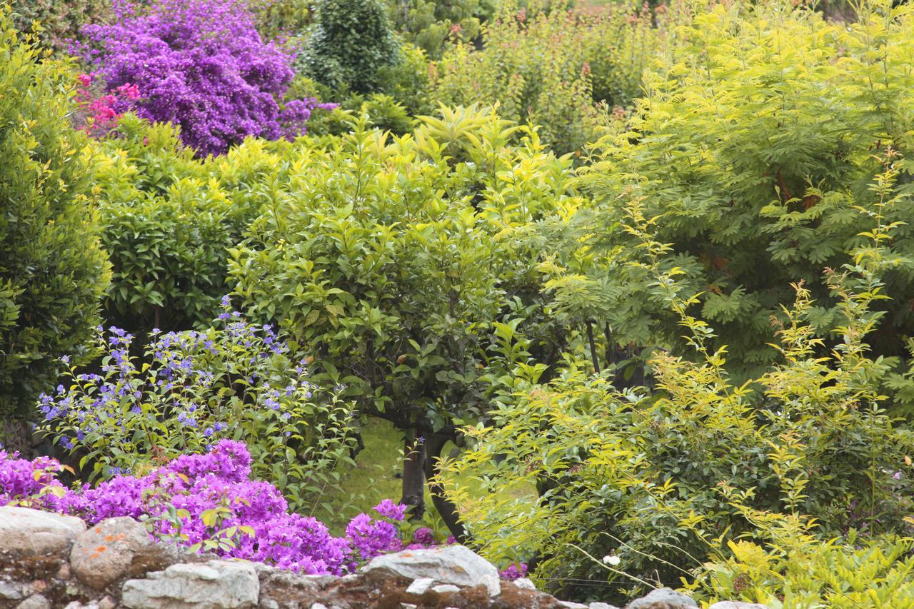 Casa Nobile Bed & Breakfast Tovo San Giacomo Luaran gambar